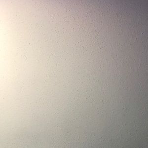 Meet your Posher, Teddy